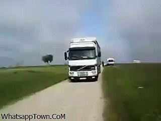 This Bus Is Called Bird Bus Funny