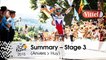 Summary - Stage 3 (Anvers > Huy) - Tour de France 2015
