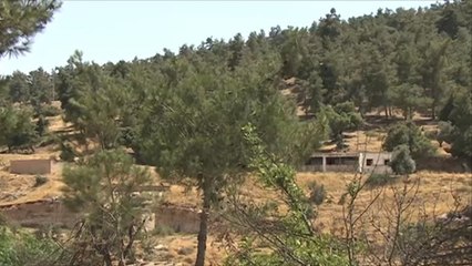 السلطات الأردنية تكشف عن إحباطها مخططا إرهابيا