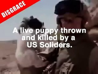 US MARINE THROWS PUPPY OFF CLIFF, David Mortari