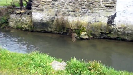 Water wheel producing up to 6kw hydro electric power