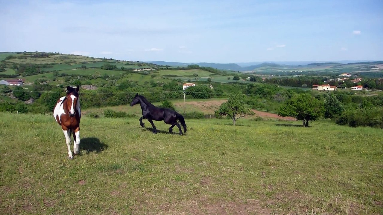 BACHKA  et BALKANE juin 2015
