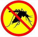 anti mosquito Sound