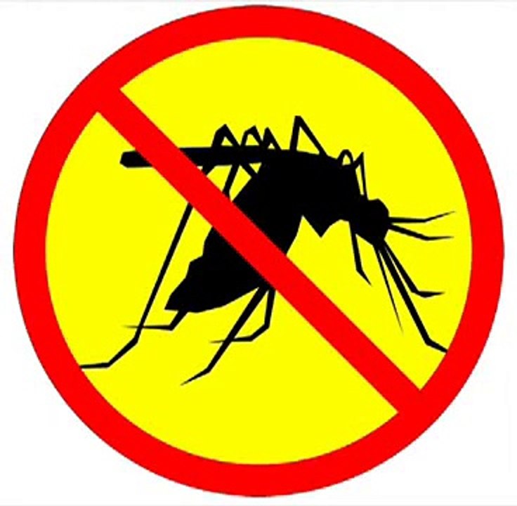 anti mosquito Sound