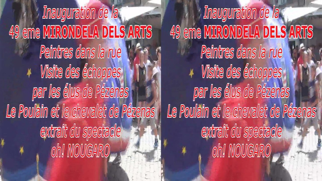 Inauguration 49 eme Mirondela.3D  wmv