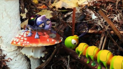 The story of Caterpillar Shoes   Fun Insect Animation   Kids' Bedtime Story