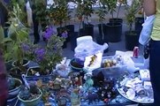 Vietnamese Farmers' Market in Michoud, New Orleans