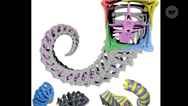 Scientists Are Studying Seahorses To Learn How To Build Better Robots