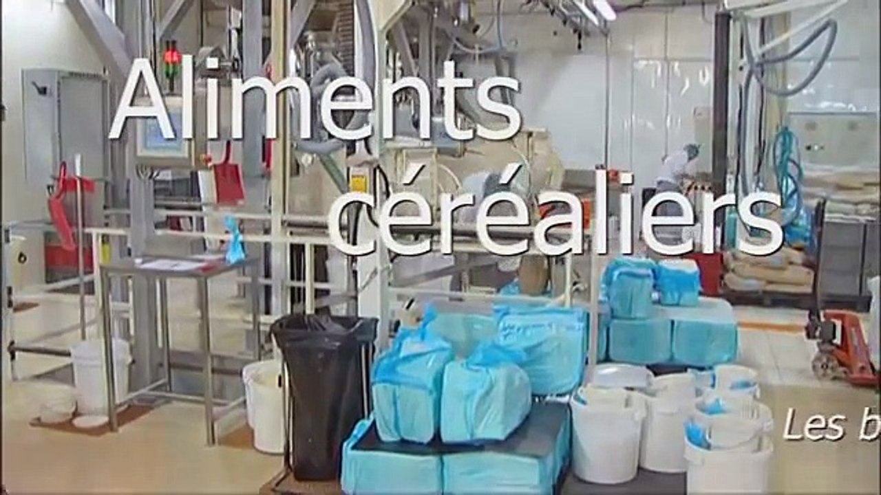 Comment les biscuits et gâteaux sont-ils fabriqués dans nos usines ?.avi