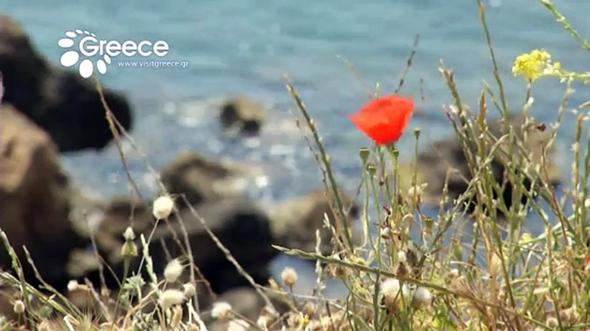 ⁣Explore Greece with Travel Channel - Mainland (English)