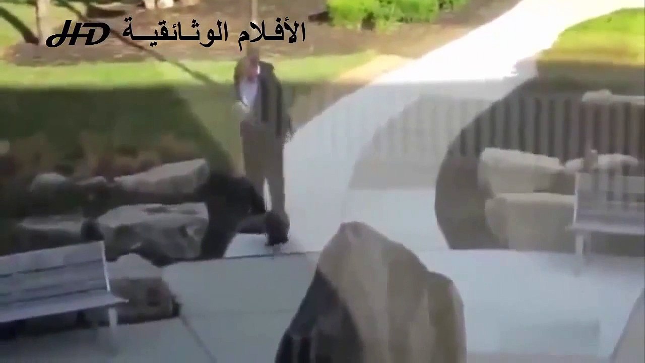 حيوانات مفترسه ll حيوانات مجنونه تهاجم البشر | الجزء 1 ✔
