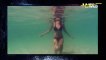 La méduse boîte L'animal le plus dangereux du monde