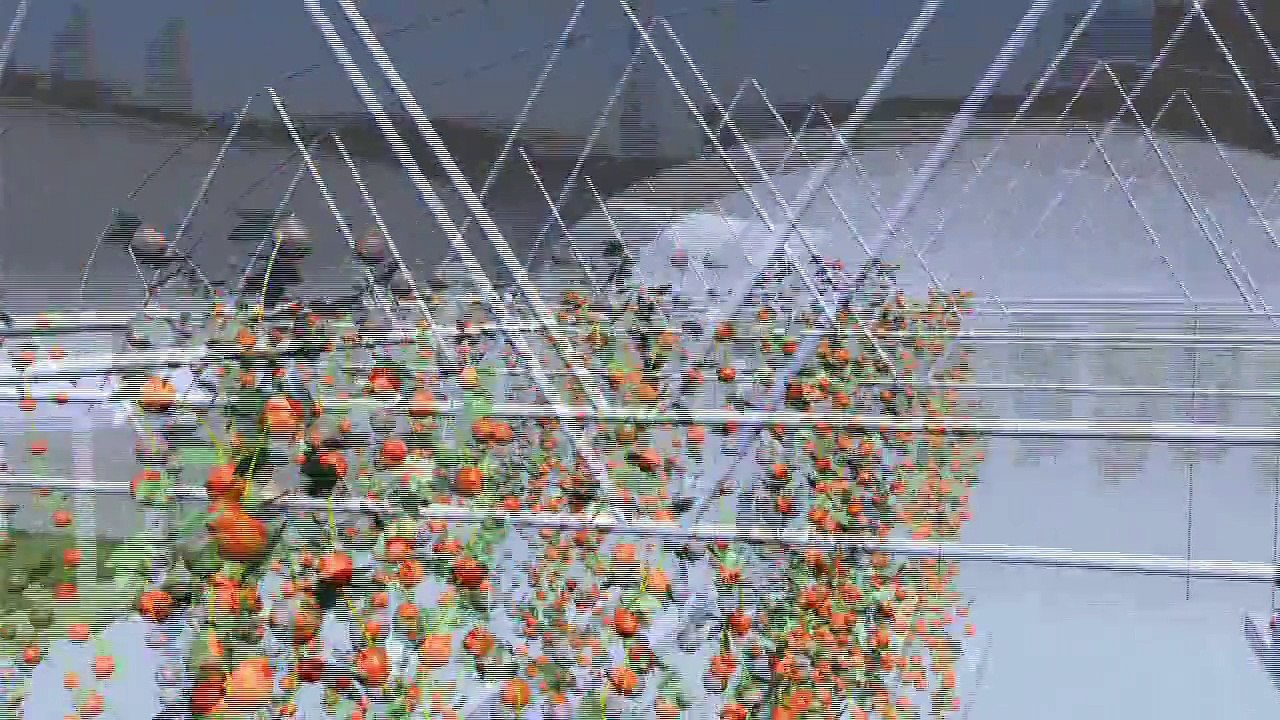 HOME TOWN FARMS® - Vertical Organic Urban Farming 2