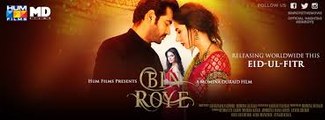 Exclusicve Official Bin Roye Title Song Lyrics - Shiraz Uppal pakistani movie