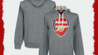 2014-2015 Arsenal Puma Fan Hoody (Grey) - Kids