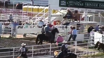 Rodeo Creep Jerks and Kicks Horse