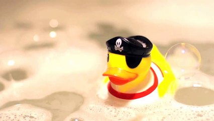 Navi the Basset Hound Takes A Bath in Slow Motion [HD]