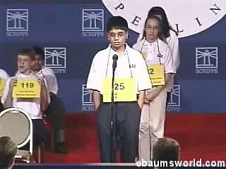 Spelling Bee