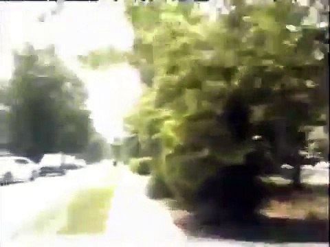 Guy Steals Cop Car Drives Off Then Crashes It