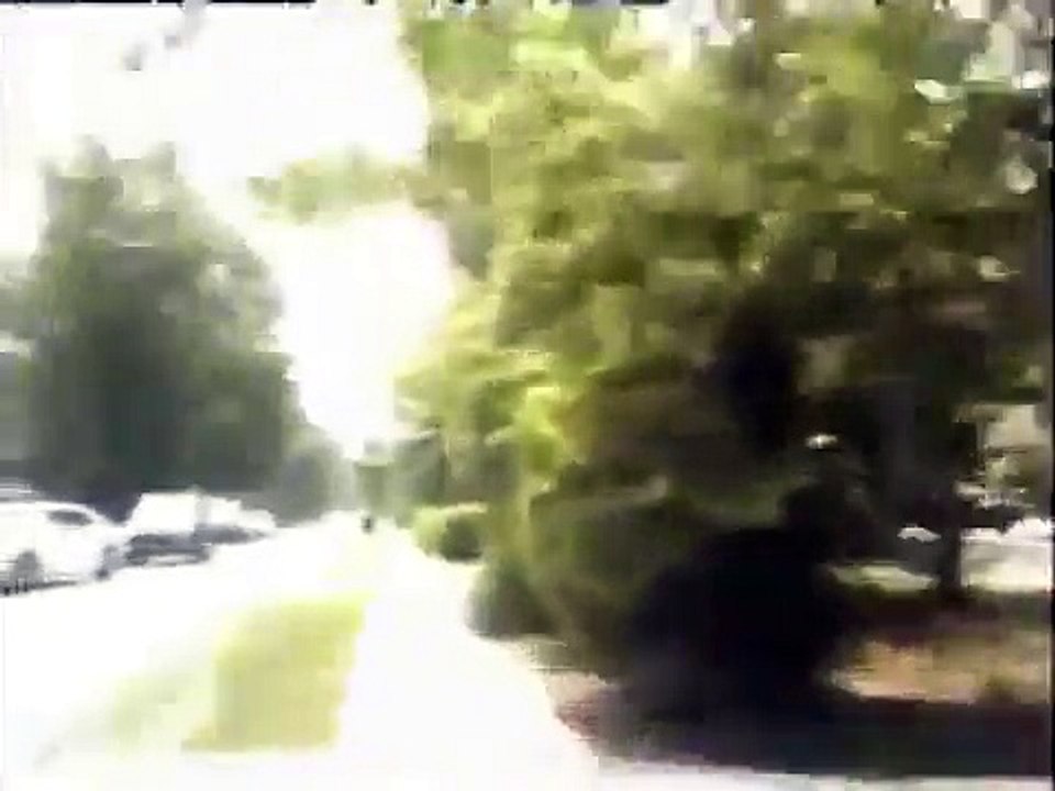 Guy Steals Cop Car Drives Off Then Crashes It