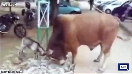 this is called Height of Confidence