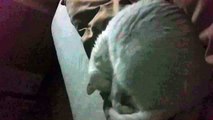 Cat makes sounds while sleeping/dreaming