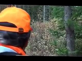 Chasse Orignal 2013