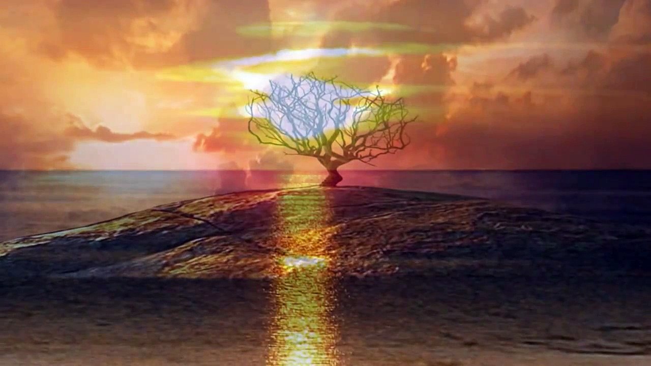 Thomas Newman / That Next Place