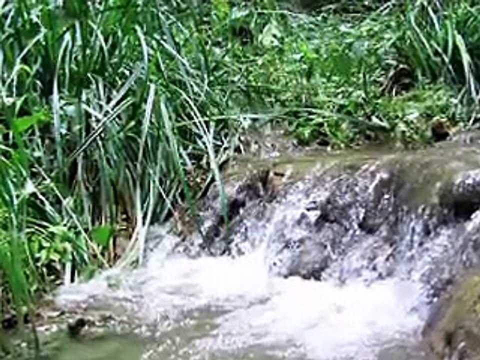 Stragari, Serbia - beautiful nature