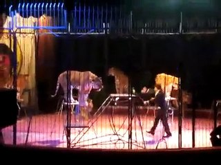 domador circo los tachuelas