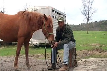 Wild Mustang & BLM Controversy.wmv