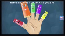 Finger Family Rhymes 3D Lion King Cartoons for Children   Lion Finger Family Children Nursery Rhymes