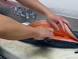 Salmon - サーモンの三枚おろし - Taro's Fish, Toronto Canada