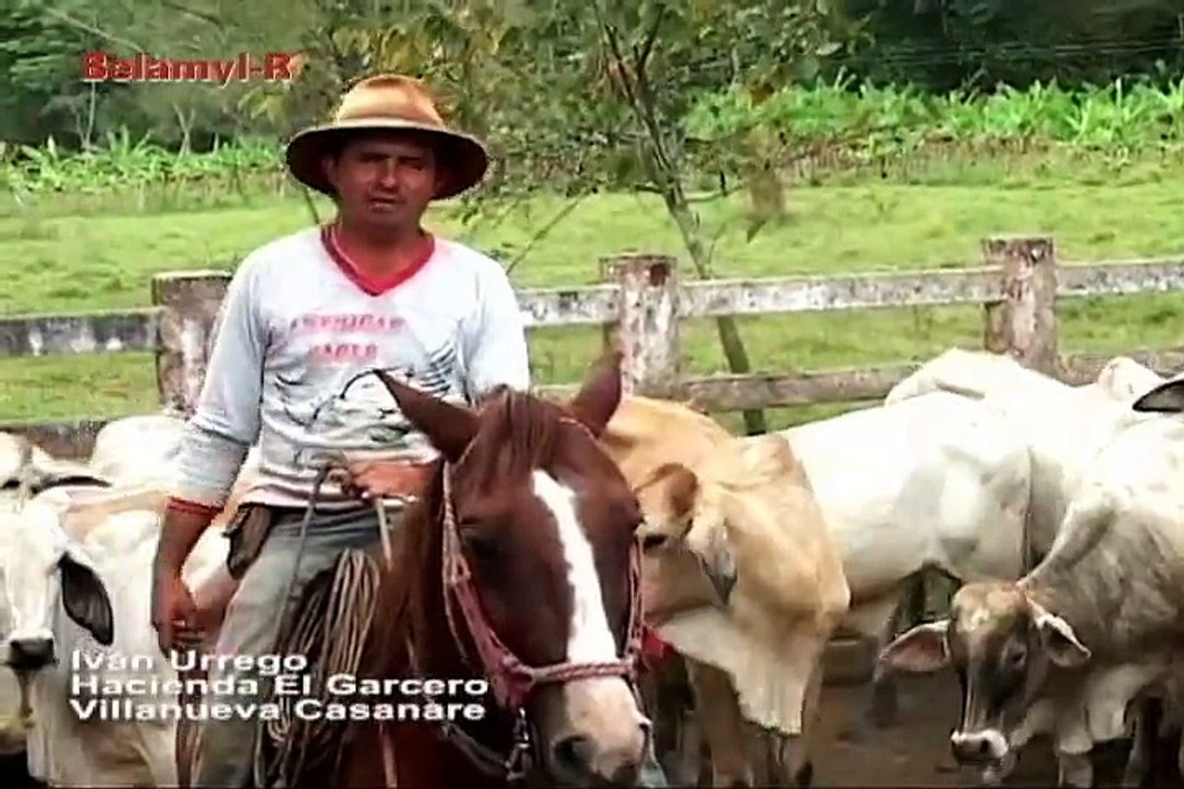 3 de julio de 2015 Criadero Santa Ines 2 web