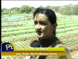 Agricultura familiar ganha destaque no Sertão
