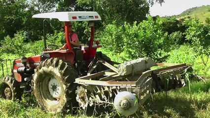 Matemática em Toda Parte 2 🎥 - Trailer Revelador