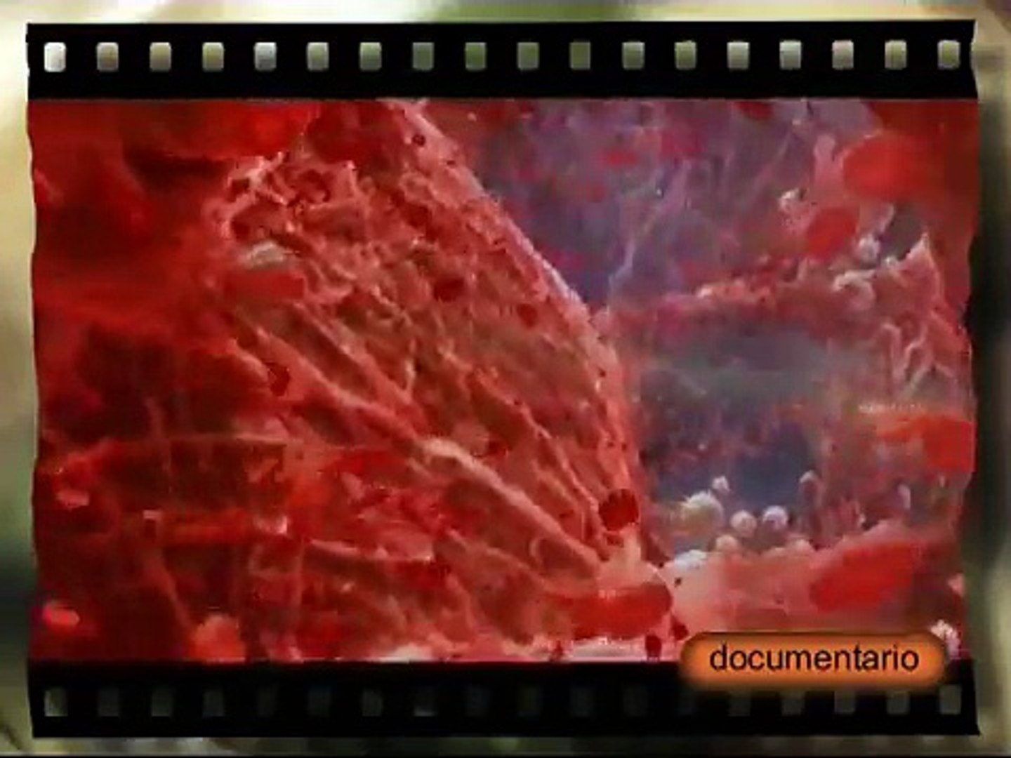 Odissea della vita_  documentario -