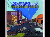 Grateful Dead Shakedown Street