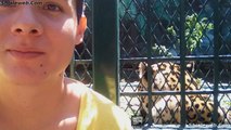 EL RECONOCIDO ACTOR ERICK NAVARRO CUIDA Y PROTEGE A LOS ANIMALES Y MASCOTAS UN DOCUMENTAL QUE MUESTRA EL AMOR QUE TIENE POR LA FAUNA Y EL MEDIO HAMBIENTE