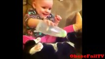 Funny Cats and Dogs Vines Compilation   Dogs VS Cats Vines Compilation Dog Vines Start at 13 48