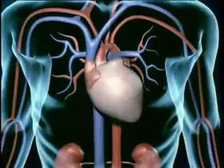 ericglenn.com - Cardio Pulse Wave Analyzer Introduction