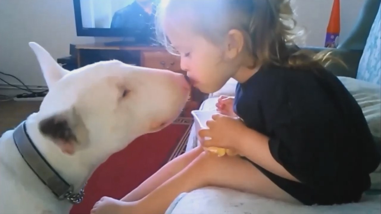 The Ultimate Girl Fail Compilation 2015 & Ultimate Nut Shot Compilation 2015 #02