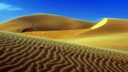 Terjemahan Surah al-Masad bacaan Sheikh Saad Said al-Ghamidi