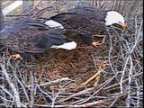 DECORAH EAGLES  11/20/2013    8:30 AM  CST   MOM AND DAD BACK