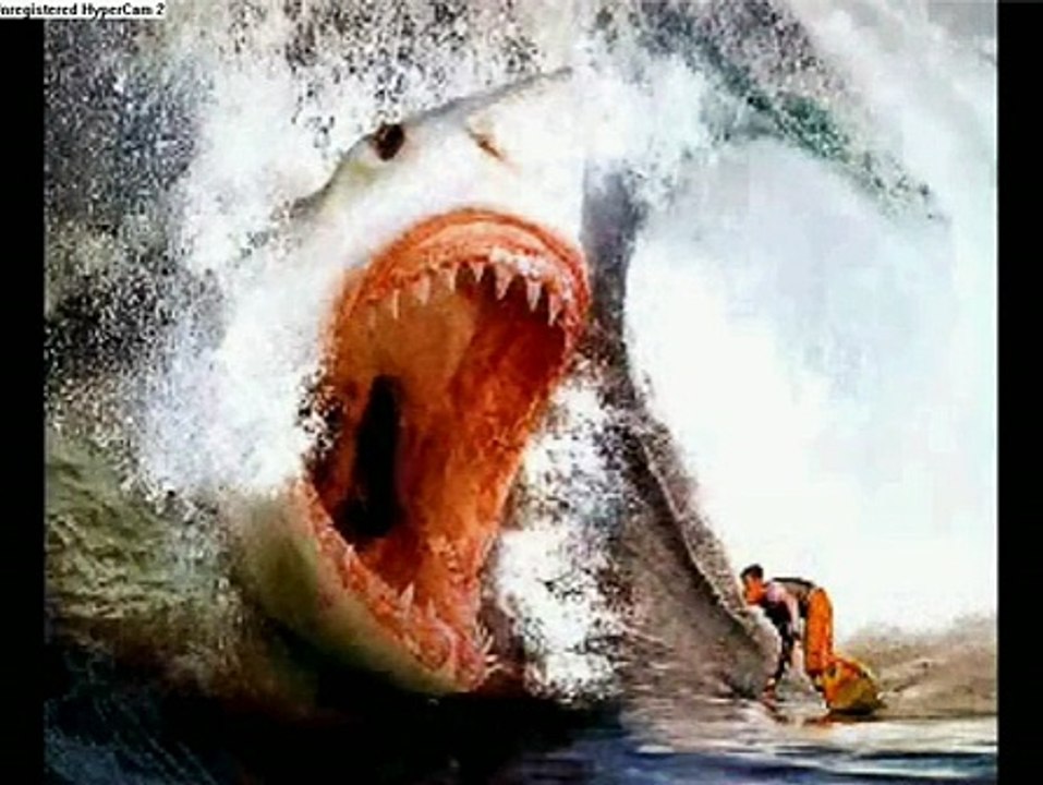 megalodon the largest shark ever