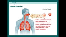 Quais são as diferenças entre resfriado, gripe, pneumonia e bronquite