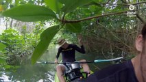 Into the Mangrove Forest | UnderH2O | PBS Digital Studios