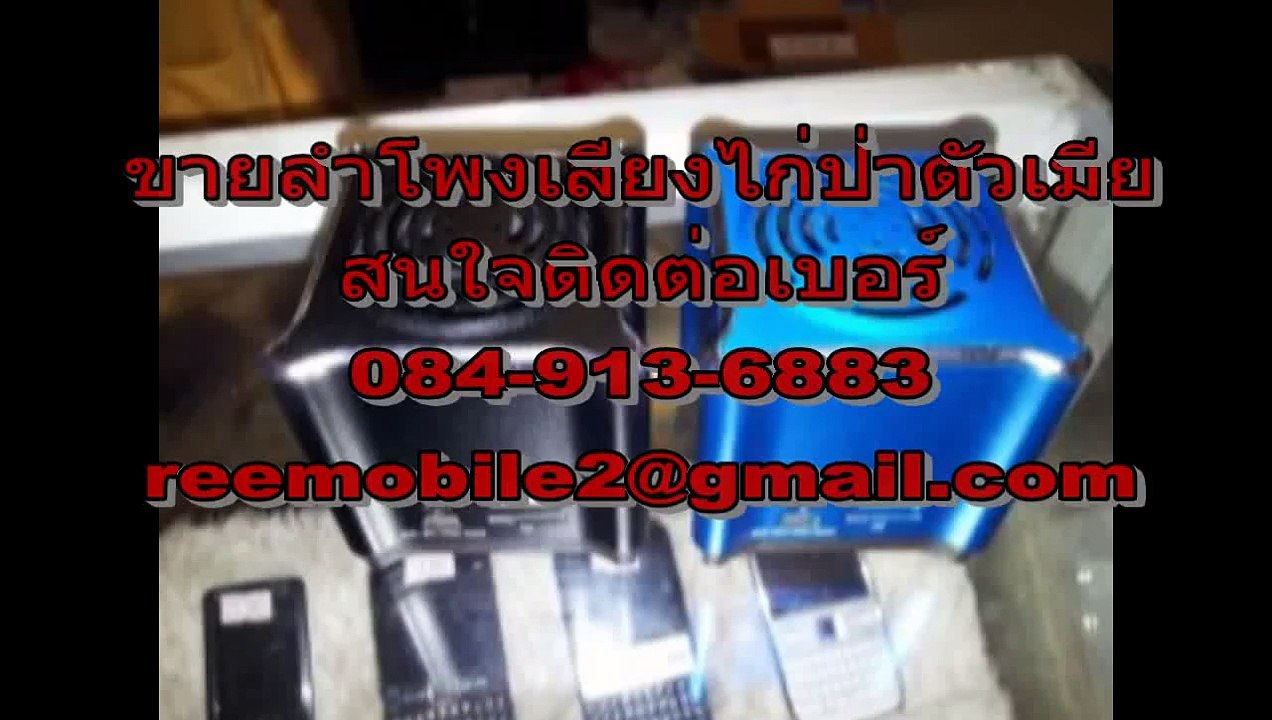 เสียงไก่ป่าตัวเมีย-นกกวัก 0849136883
