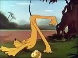 أفلام الكلب بلوتو - Pluto Cartoon