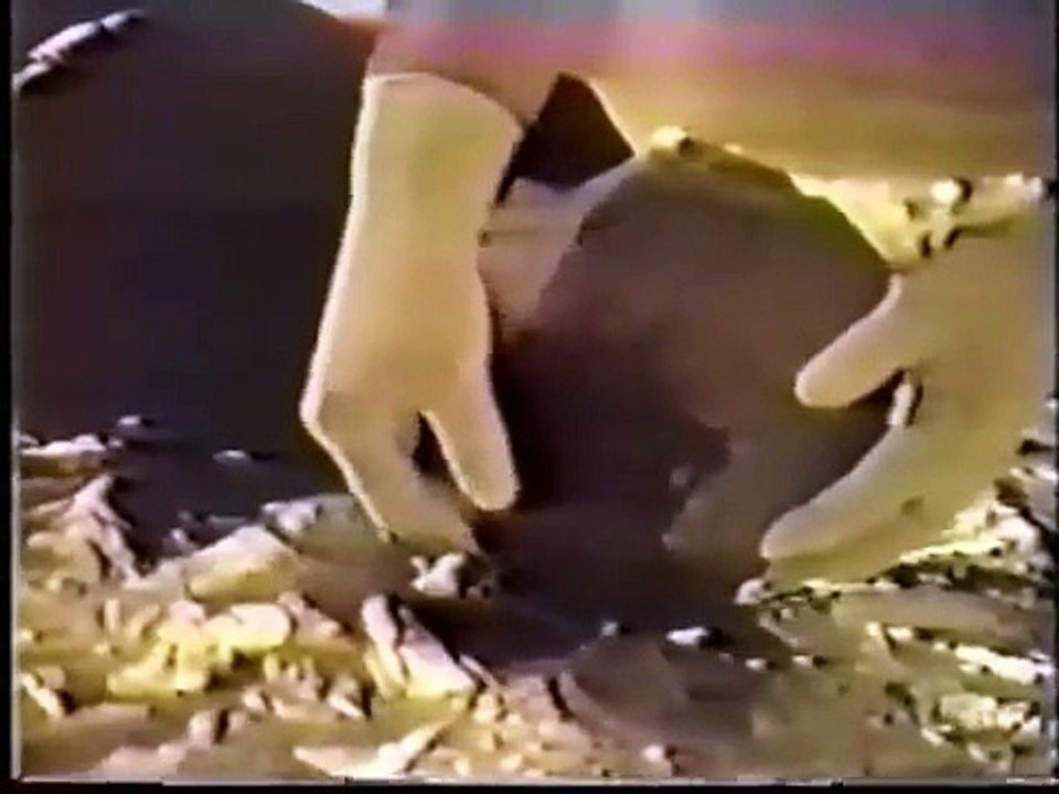 The Jonathan Reed Story (Alien Encounter?)